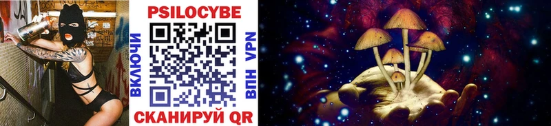 Купить закладки  Балаково  Галлюциногенные грибы Psilocybe 